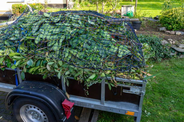Professional Junk Removal Services in Ruskin, FL